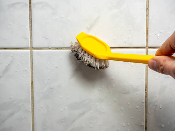 Best Local Mold Removal Service  in La Cienega, NM