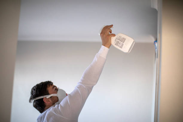 Best Mold Remediation Services  in La Cienega, NM