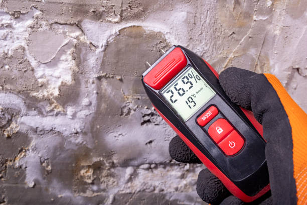 Best Mold Remediation  in La Cienega, NM