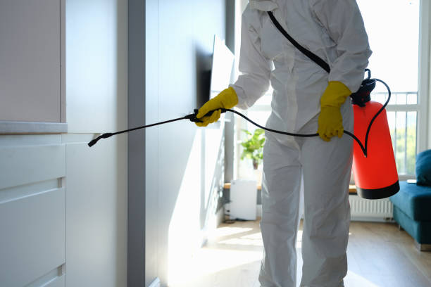 Best Commercial Mold Removal  in La Cienega, NM