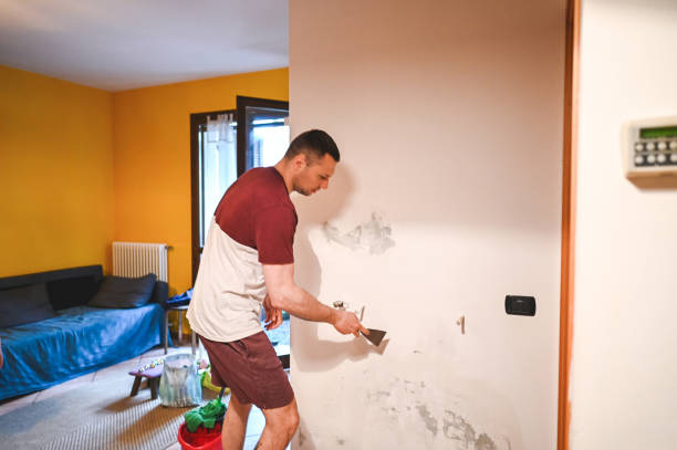 Best Emergency Mold Removal  in La Cienega, NM